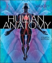 Image of Human Anatomy