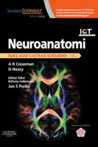 Image of Neuroanatomi